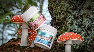 Amanita Mushroom Gummies: A Safe and Natural Wellness Solution post thumbnail image